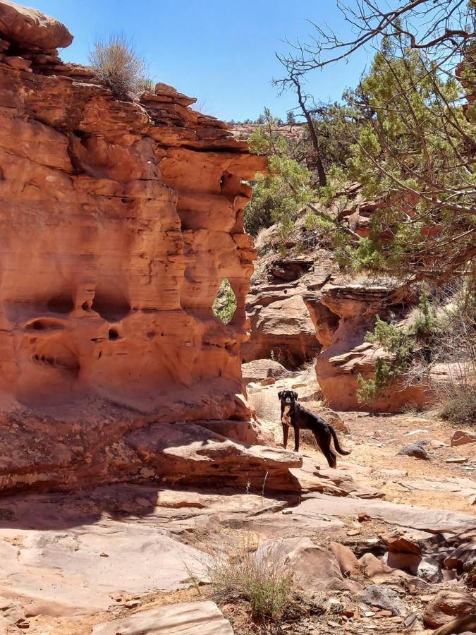 Canyons Of Escalante Rv Park Exteriör bild