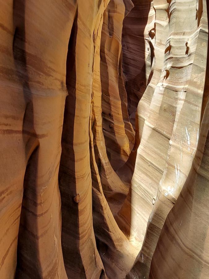 Canyons Of Escalante Rv Park Exteriör bild