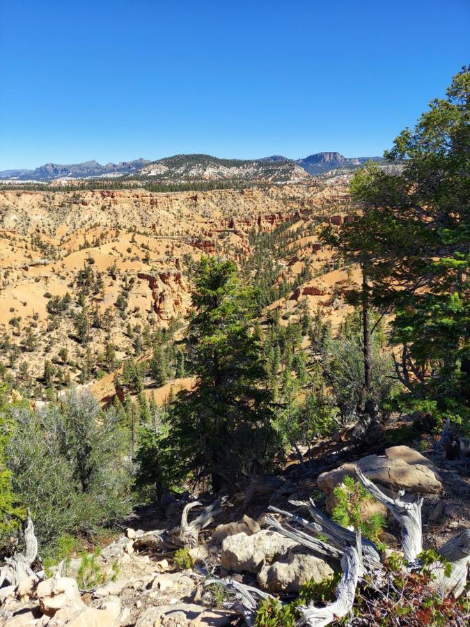 Canyons Of Escalante Rv Park Exteriör bild
